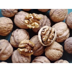 Tiszacsécsi 83 dióoltvány